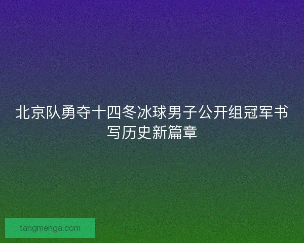 北京队勇夺十四冬冰球男子公开组冠军书写历史新篇章 北京队勇夺十四冬冰球男子公开组冠军书写历史新篇章