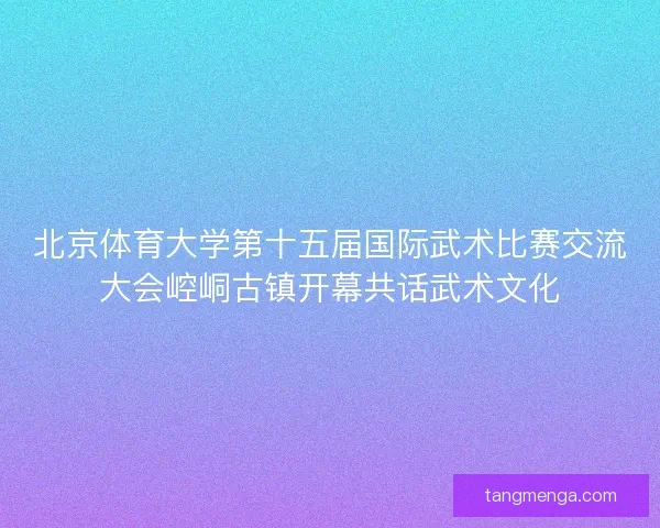 北京体育大学第十五届国际武术比赛交流大会崆峒古镇开幕共话武术文化